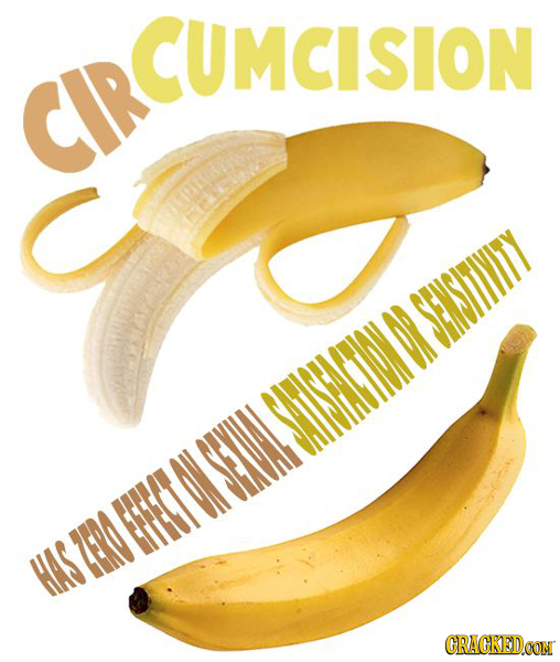 CIRCUMCISION UMCISION CIRCUME SENSITIVITY SEAL STISHASTIOIDDSHKSITIT ZERO HAS CRACKEDOON