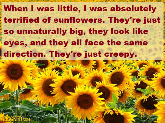 When I was little, I was absolutely terrified of sunflowers. They're just So unnaturally big, they look like eyes, and they all face the same directio