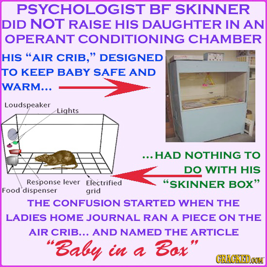 PSYCHOLOGIST BF SKINNER DID NOT RAISE HIS DAUGHTER IN AN OPERANT CONDITIONING CHAMBER HIS AIR CRIB, DESIGNED TO KEEP BABY SAFE AND WARM... Loudspeak
