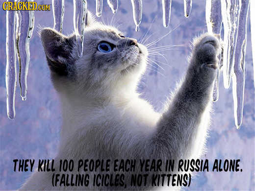 CRACKED CON THEY KILL 100 PEOPLE EACH YEAR IN RUSSIA ALONE. (FALLING ICICLES, NOT KITTENS