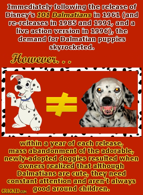 Immediately following the release of Disney's 101 Dalmatians in 1961 (and re-releases in 1985 and 1991, and a live action version in 1996) the demand 