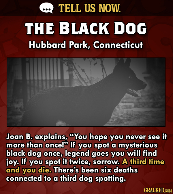 Tell Us Now: What's The Spookiest Local Lore Where You Live?