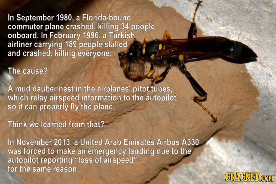 In September 1980, a Florida-bound commuter plane crashed, killing 34 people onboard. In February 1996, a Turkish airliner carrying 189 people stalled