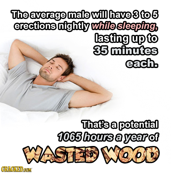The aaverage male wil have 3 to 5 erections nightly while sleeping, lasting up to 35 minutes each. That's a potential 1065 hours a year of WASTEDWOOD 