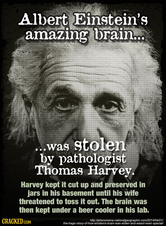 Allert Einstein's amazing brain... stolen ...was by pathologist Thomas Harvey. Harvey kept it cut up and preserved in jars in his basement until his w