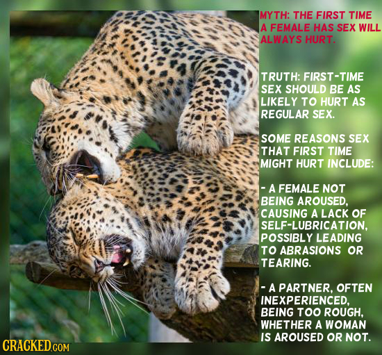 MYTH: THE FIRST TIME A FEMALE HAS SEX WILL ALWAYS HURT. TRUTH: FIRST-TIM SEX SHOULD BE AS LIKELY TO HURT AS REGULAR SEX. SOME REASONS SEX THAT FIRST T