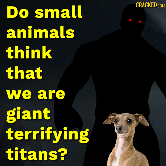 small CRACKED.COM Do animals think that we are giant terrifying titans?