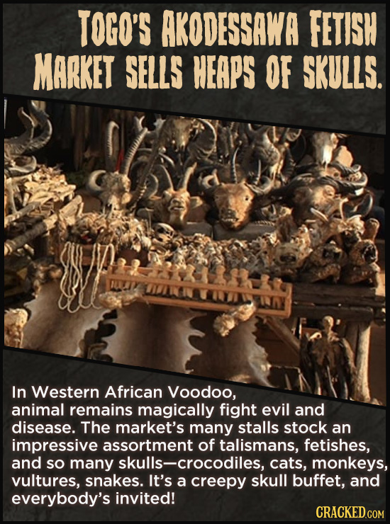 TOGO'S AKODESSAWA FETISH MARKET SELLS HEAPS OF SKULLS. In Western African Voodoo, animal remains magically fight evil and disease. The market's many s