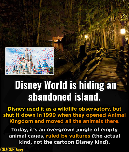 Disney World is hiding an abandoned island. Disney used it as a wildlife observatory, but shut it down in 1999 when they opened Animal Kingdom and mov