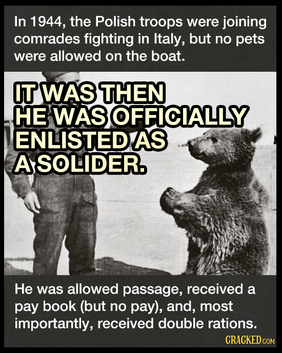 In 1944, the Polish troops were joining comrades fighting in Italy, but no pets were allowed on the boat. IT WAS THEN HE WAS OFFICIALLY ENLISTEDAS ASO