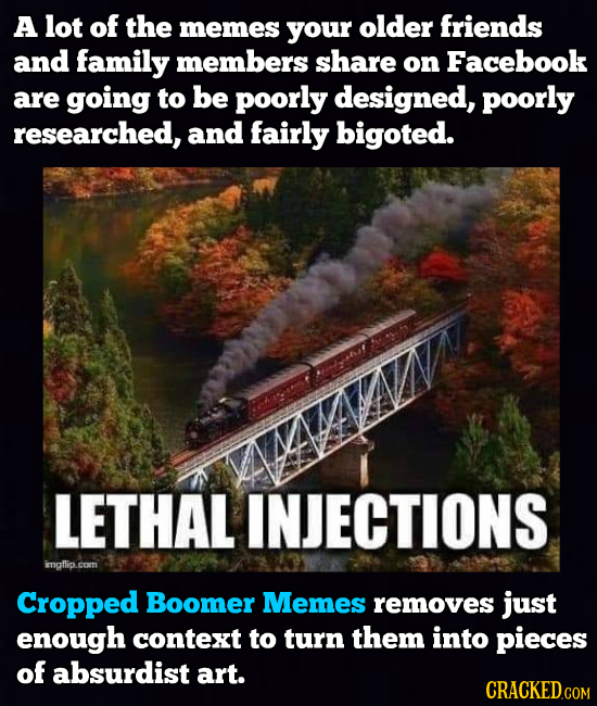 A lot of the memes your older friends and family members share on Facebook are going to be poorly designed, poorly researched, and fairly bigoted. LET