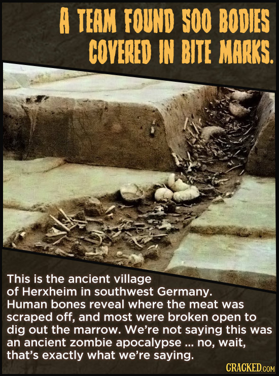A TEAM FOUND S00 BODIES COVERED IN BITE MARKS. This is the ancient village of Herxheim in southwest Germany. Human bones reveal where the meat was scr
