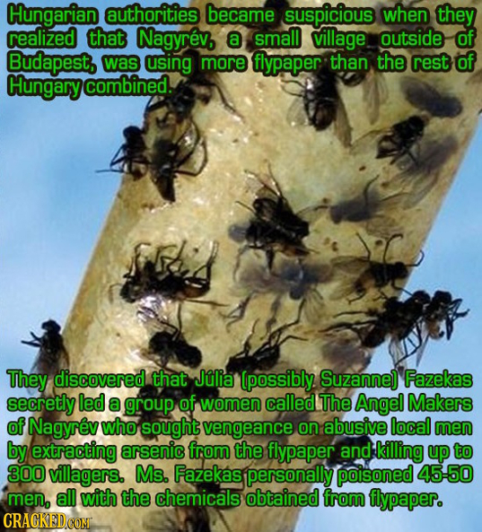 Hungarian authorities became suspicious when they realized that Nagyrev, a small village outside of Budapest, was using more flypaper than the rest of