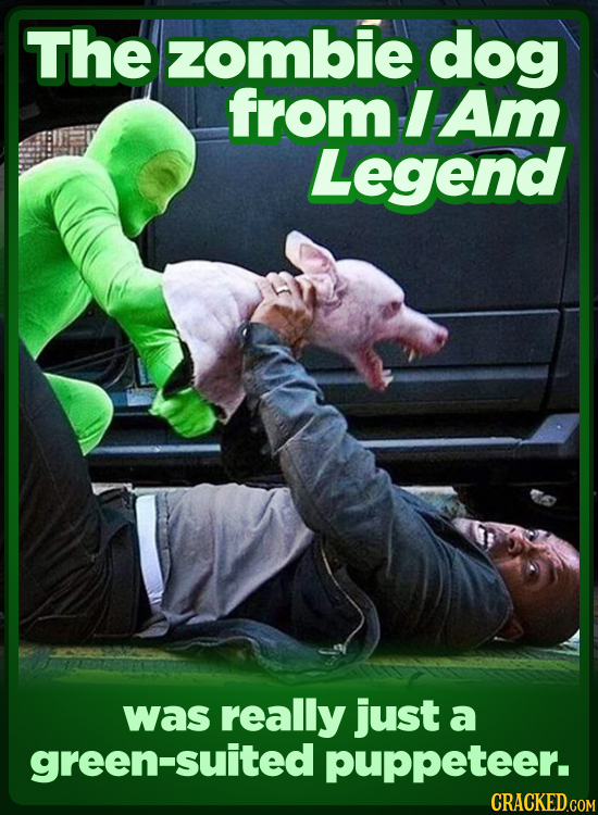 The zombie dog from I Am Legend was really just a green-suited puppeteer. CRACKED COM