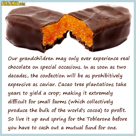 CRACKEDCON Our grandchildren may only ever experience real chocolate on special occasions. In as soon as two decades, the confection will be as prohib