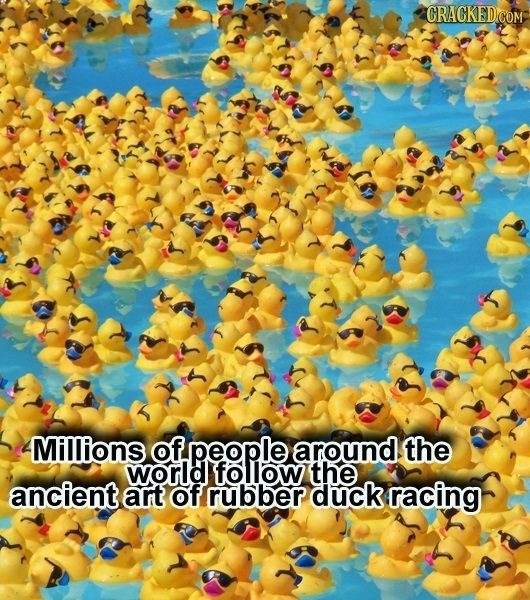 -Millions of people around the world follow the ancient art of rubber duck racing