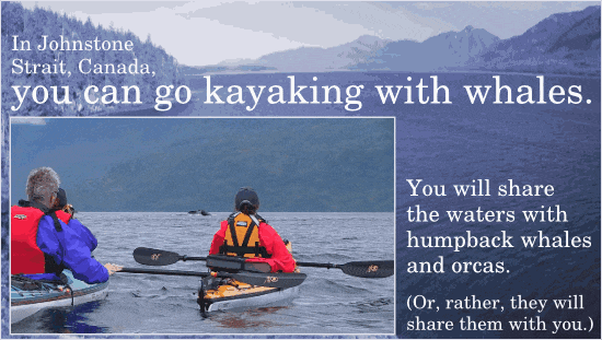 The 15 Most Fun Things You Can (Legally) Pay To Do