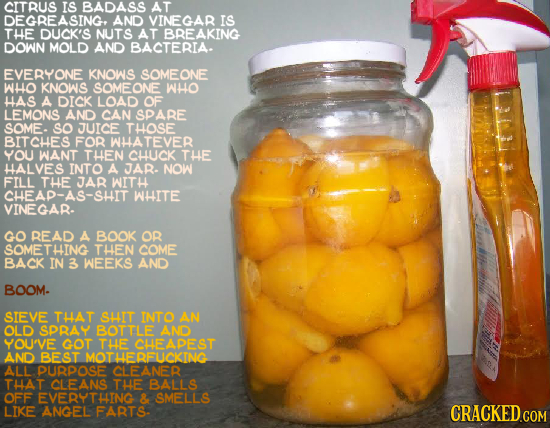 CITRUS IS BADASS AT DEGREASING AND VINEGAR IS THE DUCK'S NUTS AT BREAKING DOWN MOLD AND BACTERIA. EVERYONE KNOWS SOMEONE WHO KNOWS SOMEONE WHO HAS A D