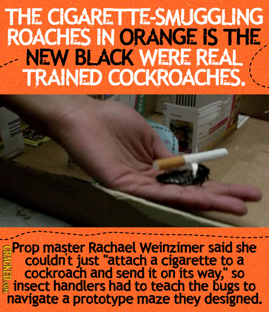THE CIGARETTE-SMUGGLING ROACHES IN ORANGE IS THE NEW BLACK WERE REAL TRAINED COCKROACHES. Prop master Rachael Weinzimer said she IRL couldn't just at