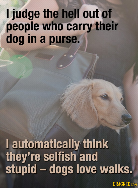 judge the hell out of people who carry their dog in a purse. I automatically think they're selfish and stupid dogs love walks. CRACKED COM