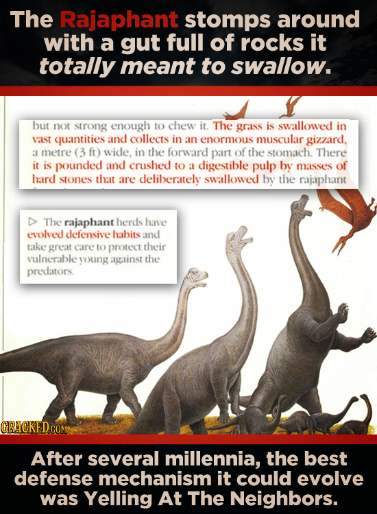 The Rajaphant stomps around with a gut full of rOCkS it totally meant to swallow. but not strong enough tO chew it. The grass is swallowed in vaSt qua