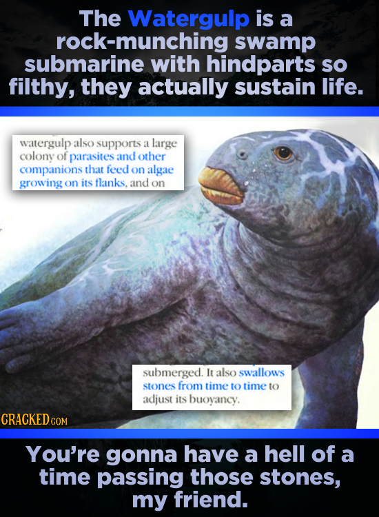 The Watergulp is a rock-munching swamp submarine with hindparts sO filthy, they actually sustain life. watergulp also supports a large colony of paras