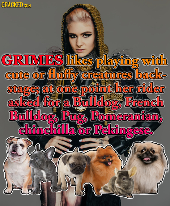 CRACKEDC GRIMES likes playing with cute or fluffy creatures back stage; at one point her rider asked for a Bulldog French Bulldog, Pug Pomeranian, chi