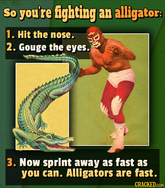 So you're fighting an alligator: 1. Hit the nose. 2. Gouge the eyes. 3. Now sprint away as fast as you can. Alligators are fast. 