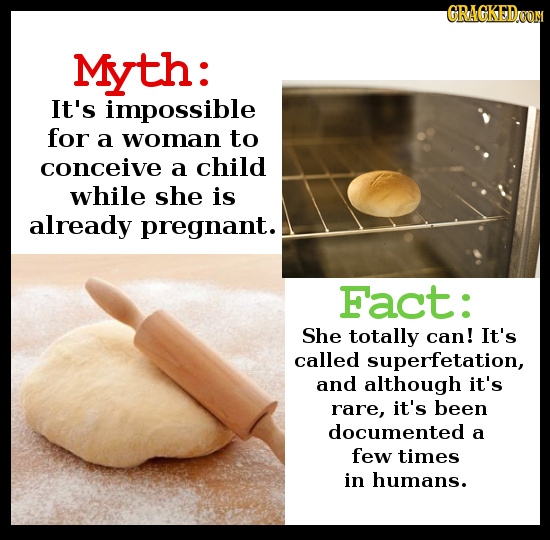 GRAGKEDCON Myth: It's impossible for a woman to conceive a child while she is already pregnant. Fact: She totally can! It's called superfetation, and