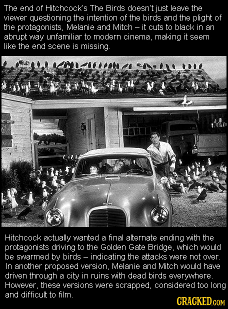 The end of Hitchcock's The Birds doesn't just leave the viewer questioning the intention of the birds and the plight of the protagonists, Melanie and