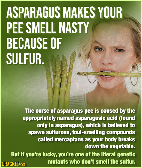 ASPARAGUS MAKES YOUR PEE SMELL NASTY BECAUSE OF SULFUR. The curse of asparagus pee is caused by the appropriately named asparagusic acid (found only i