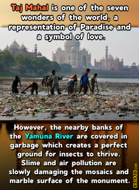 Taj Mahal is one of the seven wonders of the world, a representation of Paradise and a symbol of love. However, the nearby banks of the Yamuna River a