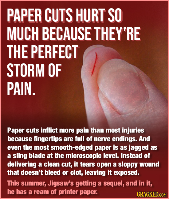 PAPER CUTS HURT SO MUCH BECAUSE THEY'RE THE PERFECT STORM OF PAIN. Paper cuts inflict more pain than most injuries because fingertips are full of nerv