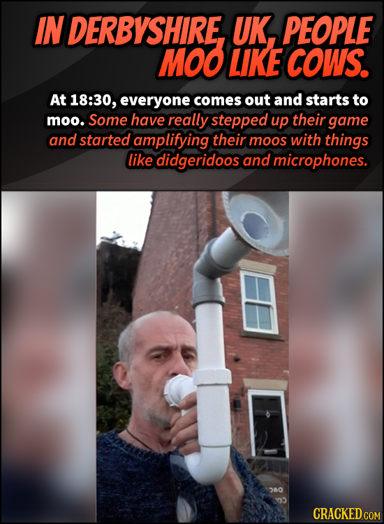 IN DERBYSHIRE UK, PEOPLE MOO LIKE COWS. At 18:30, everyone comes out and starts to moo. Some have really stepped up their game and started amplifying