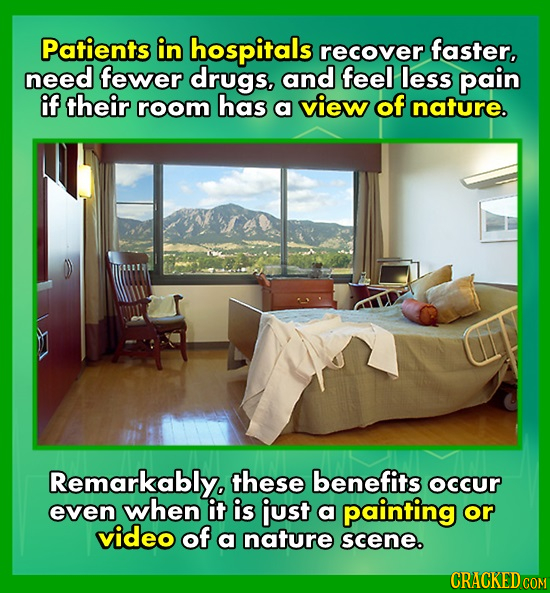 Patients in hospitals recover faster, need fewer drugs, and feel less pain if their room has a view of nature. Remarkablyo these benefits occur even w