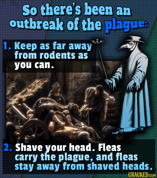 So there's been an outbreak of the plague: 1. Keep as far away from rodents as you can. 2. Shave your head. Fleas carry the plague, and fleas stay awa