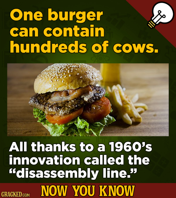 One burger can contain hundreds of COWS. All thanks to a 1960's innovation called the disassembly line. NOW YOU KNOW CRACKED COM