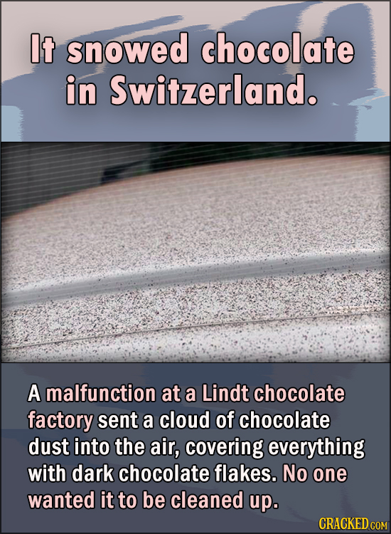 15 Feel Good Stories Of 2020 To End This Wretched Year - It snowed chocolate in Switzerland. A malfunction at a Lindt chocolate factory sent a cloud
