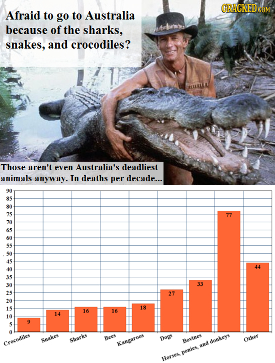 GRACKED Afraid to go to Australia because of the sharks, snakes, and crocodiles? Those aren't even Australia's deadliest animals anyway. In deaths per