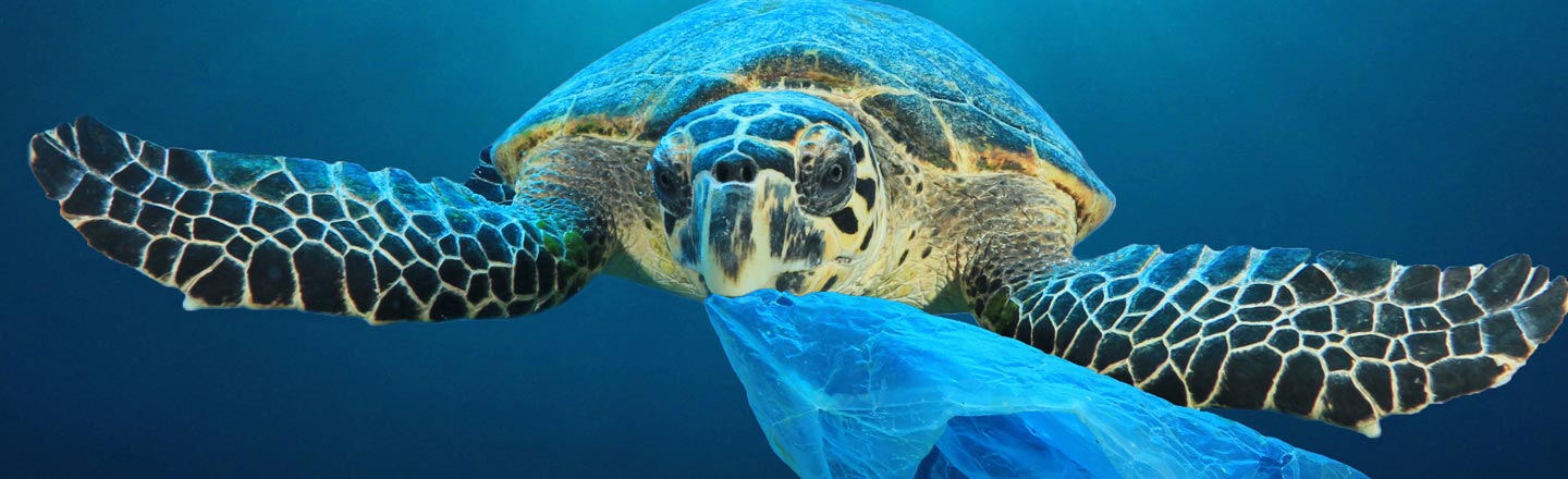 25 Unsettling Stats That'll Shake Your Foundations