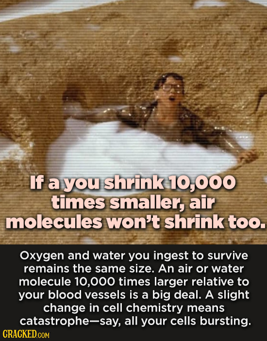 If a you shrink 10,000 times smaller, air molecules won't shrink too. Oxygen and water you ingest to survive remains the same size. An air or water mo