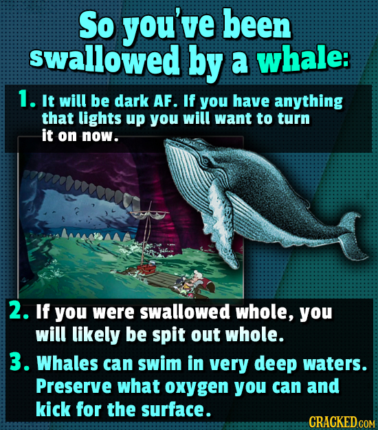 So you've been swallowed by a whale: 1. It will be dark AF. If you have anything that lights up you will want to turn it on now. 2. If you were swallo