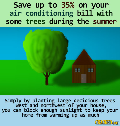 Save up to 35% on your air conditioning bill with some trees during the summer Simply by planting large decidious trees west and northwest of your hou