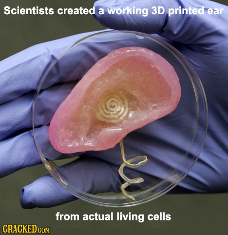 Scientists created a working 3D printed ear from actual living cells CRACKED COM