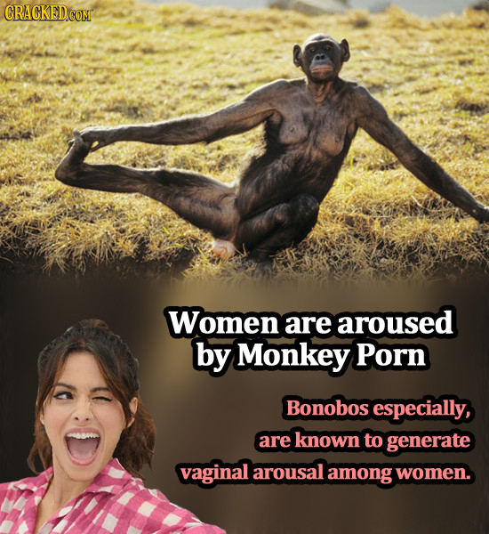 CRACKED COM Women are aroused by Monkey Porn Bonobos especially, are known to generate vaginal arousal among women. 