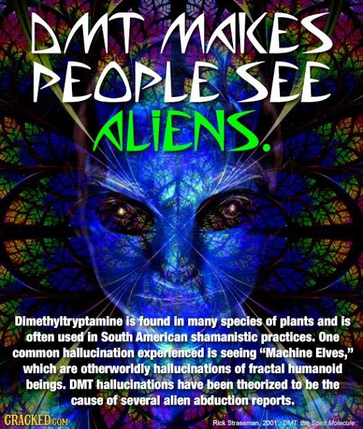 DMT MAKES EOPLE SEE ALIENS. Dimethyltryptamine is found in many species of plants and is often used in South American shamanistic practices. One commo