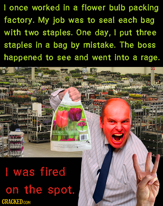 I once worked in a flower bulb packing factory. My job was to seal each bag with two staples. One day, put three staples in a bag by mistake. The boss
