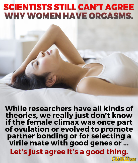 SCIENTISTS STILL CAN'T AGREE WHY WOMEN HAVE ORGASMS. While researchers have all kinds of theories, we really just don't know if the female climax was once part of ovulation or evolved to promote partner bonding or for selecting a virile mate with good genes or ... Let's just agree it's a