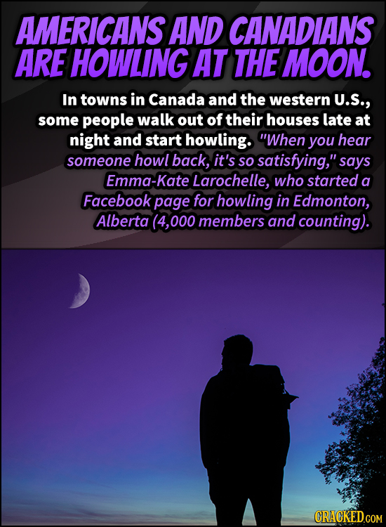 AMERICANS AND CANADIANS ARE HOWLING AT THE MOON. In towns in Canada and the western U.S., some people walk out of their houses late at night and start