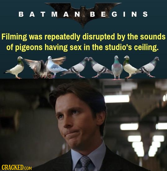BATMANBEGINS Filming was repeatedly disrupted by the sounds of pigeons having sex in the studio's ceiling.
